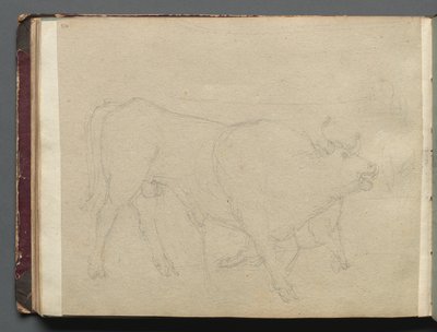 Album mit Ansichten von Rom und Umgebung, Landschaftsstudien, Seite 51b: Studie eines Stiers von Franz Johann Heinrich Nadorp