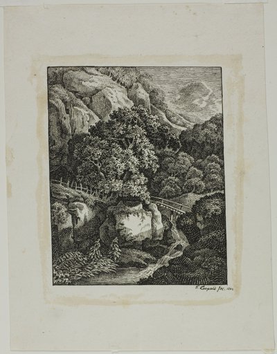 Bewaldete Berglandschaft mit kleinem Wasserfall und Weg von Franz Joseph Leopold