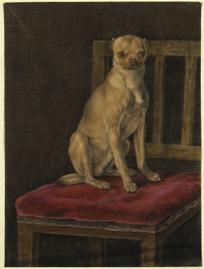 Mops von Franz Krüger