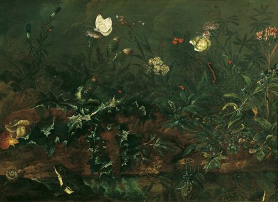 Rasenstück mit Distel, Fröschen und Libelle von Franz Michael Siegmund von Purgau d. Ä.