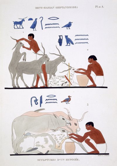 Tierärztliche Arbeit, aus einem seltenen Bericht über Fresken aus Theben, aufgezeichnet 1819-1822 bei seinem zweiten Besuch in Ägypten von Frederic Cailliaud von Frederic (after) Cailliaud