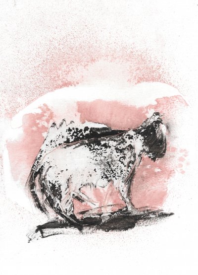 Dynamische Katzenskizze von Frederic Belaubre