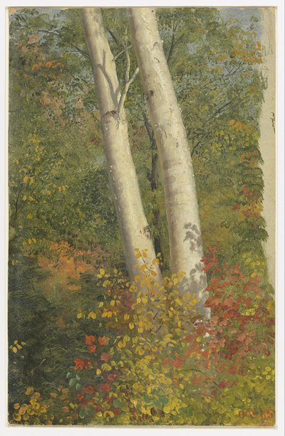 Birken im Herbst von Frederic Edwin Church