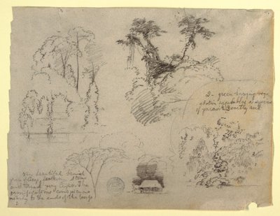 Botanische Studien und ein Haus, wahrscheinlich aus Kolumbien von Frederic Edwin Church
