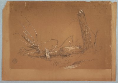Zeichnung, Ein gebrochener toter Baum, 1855–65 von Frederic Edwin Church