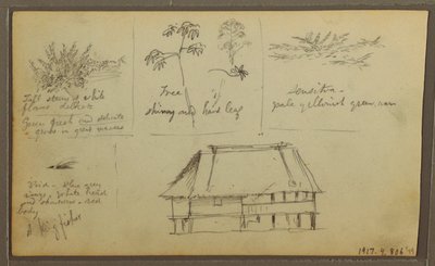 Zeichnung, Eine Festung; Verso: Botanische Skizzen, Haus, 1857 von Frederic Edwin Church