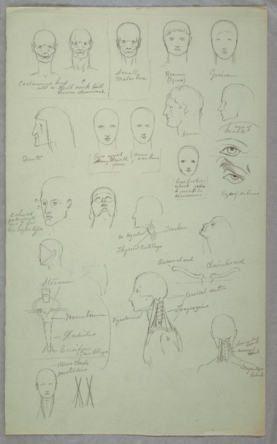 Anatomische Studien, 1865–1870 von Frederic Edwin Church