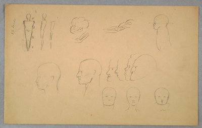 Anatomische Studien, 1865–1870 von Frederic Edwin Church