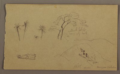 Botanische Skizzen, Figur, Mai–August 1865 von Frederic Edwin Church