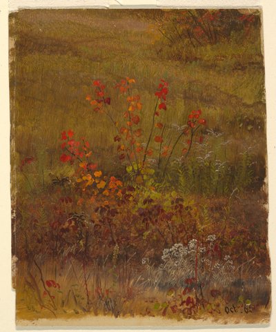 Zeichnung, Botanische Studien, Oktober 1865 von Frederic Edwin Church