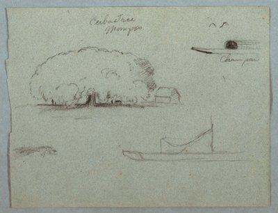 Zeichnung, Ceiba-Baum in Mompos, Champan-Kanu, Bäume und ein Teil eines Bootes, Rio Magdalena, Kolumbien, 1853, wahrscheinlich Mai von Frederic Edwin Church