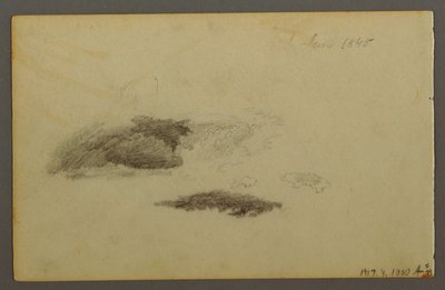 Zeichnung, Verfallene Birke, 1844 von Frederic Edwin Church