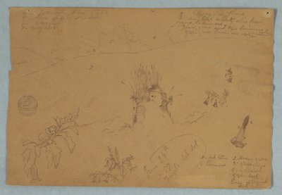Zeichnung. Botanische und Wolkenskizzen in der Nähe von Quito, Ecuador, 24. Juni 1857 von Frederic Edwin Church