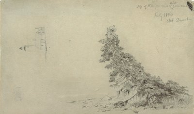 Zeichnung, Immergrüner Baum in der Nähe der Küste mit einem Detail des Leuchtturms und eines Hauses, Mount Desert, Maine, Juli 1850 von Frederic Edwin Church