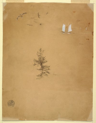 Möwen, Segelboote, Baum von Frederic Edwin Church