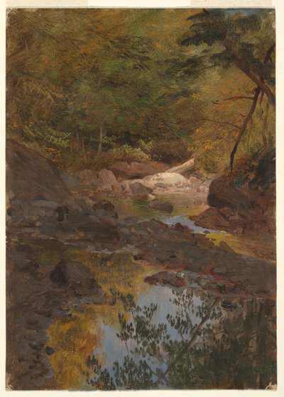 Zeichnung, In den Wäldern von Neuengland, 1855–65 von Frederic Edwin Church