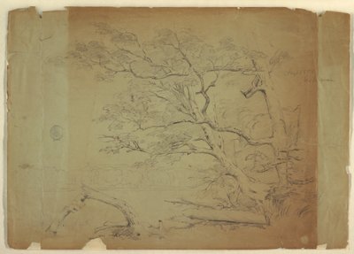 Landschaft mit Bäumen und einem Bach [?], Grand Manan Island, Kanada, September 1851 von Frederic Edwin Church