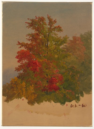 Zeichnung, Insel Mt. Desert?, Maine, Oktober 1860 von Frederic Edwin Church
