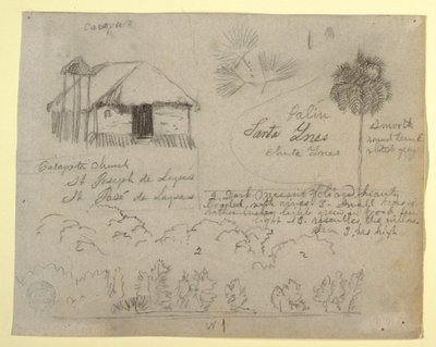 San Jose de Lapas Kirche, Carapata und botanische Studien, wahrscheinlich Kolumbien, 1853 von Frederic Edwin Church