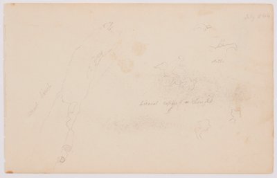 Skizzen von Wolken und toter Birke, Juli 1844 von Frederic Edwin Church