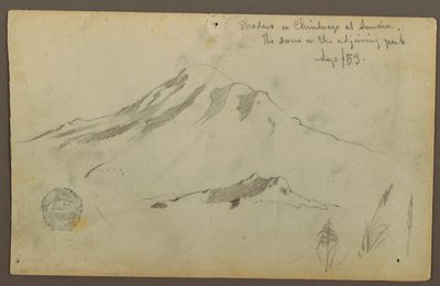Sonnenaufgang auf dem Mt. Chimborazo und drei Details von Gras von Frederic Edwin Church