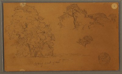 Bäume, 1857 von Frederic Edwin Church