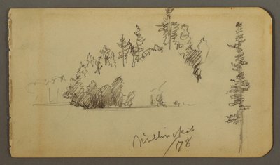 Zeichnung, bewaldetes Ufer, Baumstudie, 1878 von Frederic Edwin Church