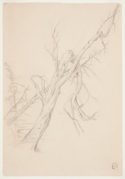 Knotiger toter Baum von Frederic Edwin Church
