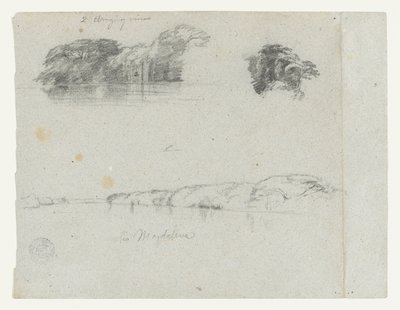 Skizzen von Bäumen, Reben und einem Ufer des Rio Magdalena, Kolumbien von Frederic Edwin Church