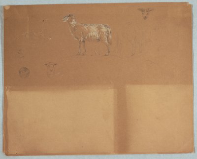 Studien von Schafen, Ecuador oder Kolumbien von Frederic Edwin Church