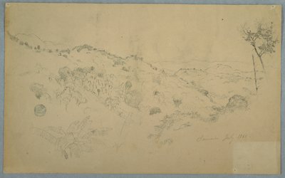 Bewaldetes Tal mit einem großen Farn und fernen Bergketten, Jamaika von Frederic Edwin Church