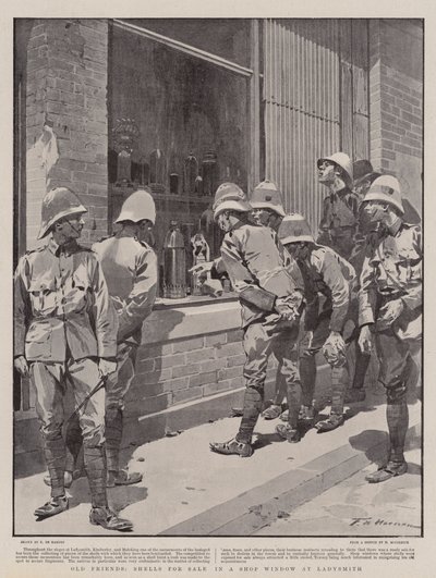 Alte Freunde, Muscheln zum Verkauf in einem Schaufenster in Ladysmith von Frederic de Haenen
