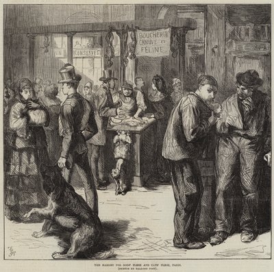 Der Markt für Hunde- und Katzenfleisch, Paris von Frederick Barnard