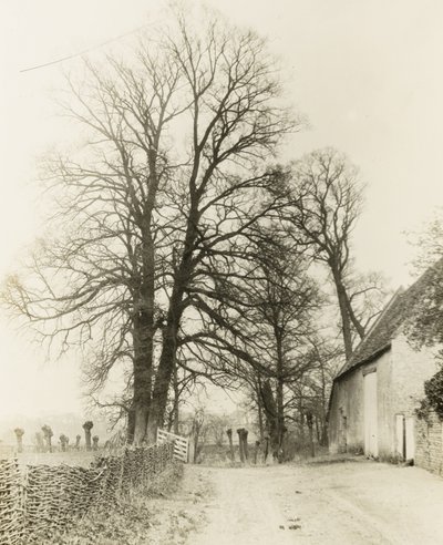 Kelmscott Manor: Straße und Eingang von Frederick H. Evans