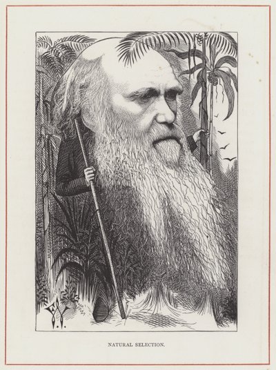 Charles Darwin, Natürliche Selektion von Frederick Waddy