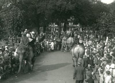 Elefantenritte, mit drei asiatischen Elefanten, beobachtet von Menschenmengen im London Zoo im August 1926 von Frederick William Bond