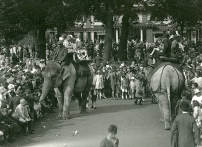 Elefantenritte, mit zwei asiatischen Elefanten, beobachtet von Menschenmengen im London Zoo im August 1926 von Frederick William Bond