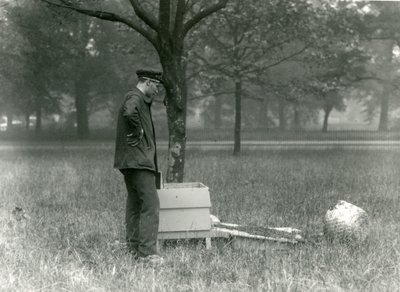 Wärter Brown bewegt einen Schwarm Honigbienen, Londoner Zoo, Juli 1926 von Frederick William Bond