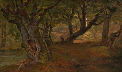 Ansicht des Bregentved-Waldes, Sjaeeland, Mitte der 1830er Jahre von Frederik Sødring