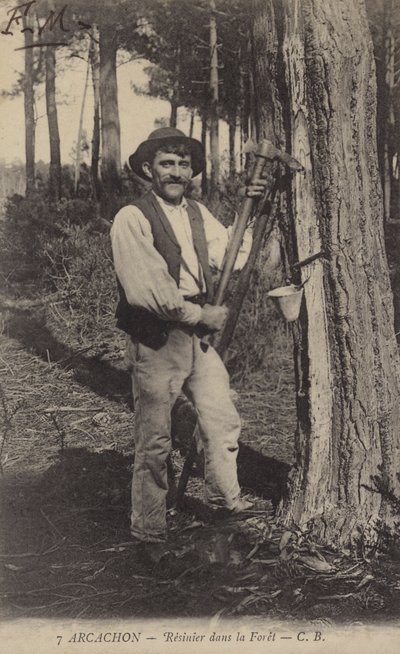 Arcachon, Harzsammler im Wald von French Photographer