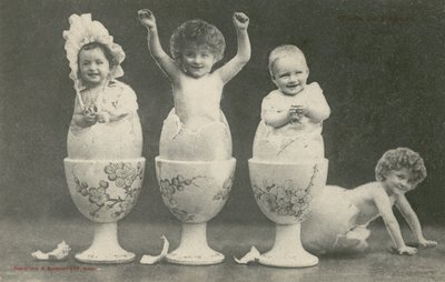 Babys schlüpfen aus Eiern in Eierbechern von French Photographer