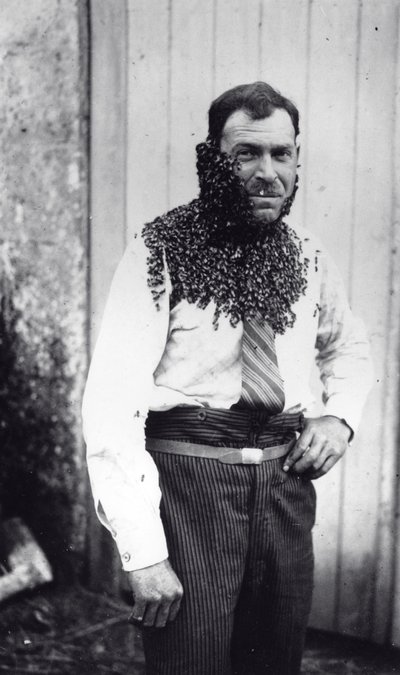 Imker Angel Peuchaud bedeckt mit Bienen in Angoulême, Charentes, Frankreich von French Photographer