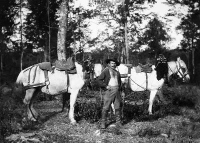 Holzfäller mit seinen Pferden in der Nähe von Bourmont in Haute-Marne. Ducos-Sammlung. von French Photographer