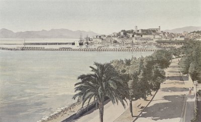 Cannes, Hafen und Altstadt, Boulevard de la Croisette von French Photographer