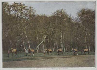 Trainierende Rennpferde in La Croix-Saint-Ouen im Wald von Compiegne, Frankreich von French Photographer