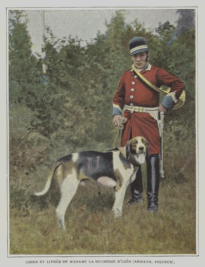 Hund und Jäger in der Livree der Jagd der Herzogin von Uzes, Frankreich von French Photographer