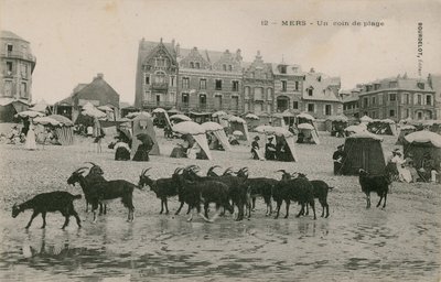 Mers - ein Teil des Strandes von French Photographer