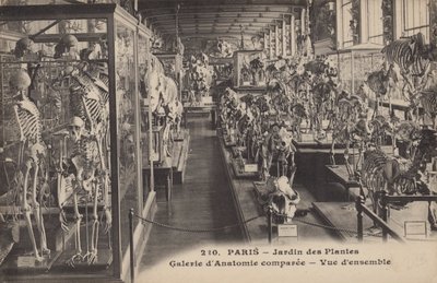 Paris, Jardin des Plantes von French Photographer