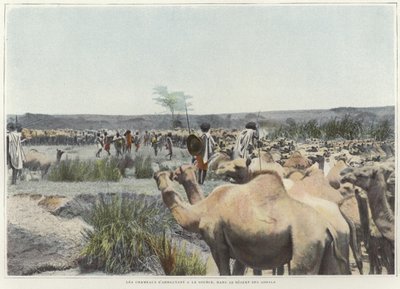 Die Kamele an der Quelle in der Wüste tränken von French Photographer
