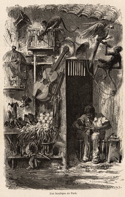 Ein Geschäft in Para, Illustration für Herrn Biards Reise nach Brasilien in den Jahren 1858-1859. Gravur in „Le tour du monde“ 1861. Sammlung Selva. von French School